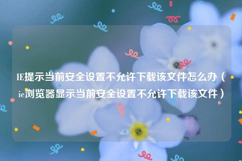 IE提示当前安全设置不允许下载该文件怎么办（ie浏览器显示当前安全设置不允许下载该文件）