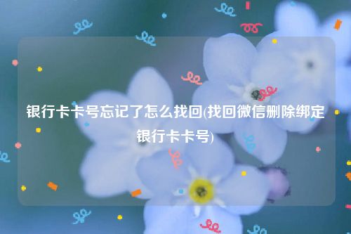 银行卡卡号忘记了怎么找回(找回微信删除绑定银行卡卡号)