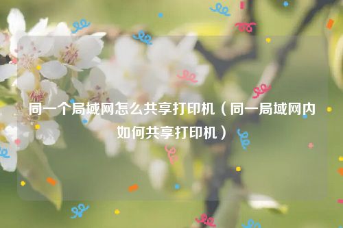 同一个局域网怎么共享打印机(同一局域网内如何共享打印机)