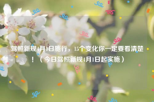 驾照新规4月1日施行，15个变化你一定要看清楚！（今日驾照新规4月1日起实施）