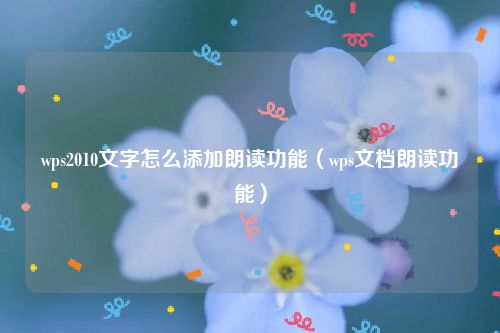 wps2010文字怎么添加朗读功能(wps文档朗读功能)