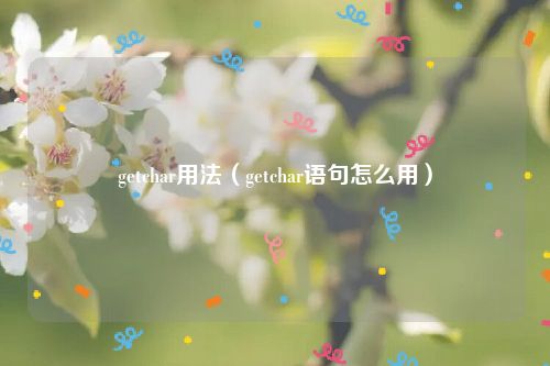 getchar用法(getchar语句怎么用)