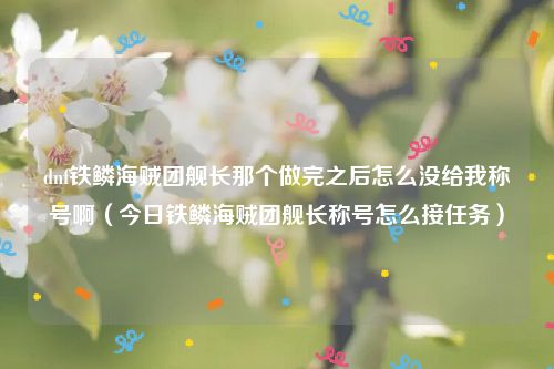 dnf铁鳞海贼团舰长那个做完之后怎么没给我称号啊（今日铁鳞海贼团舰长称号怎么接任务）