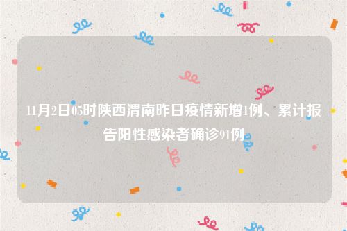 11月2日05时陕西渭南昨日疫情新增1例、累计报告阳性感染者确诊91例
