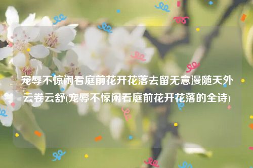 宠辱不惊闲看庭前花开花落去留无意漫随天外云卷云舒(宠辱不惊闲看庭前花开花落的全诗)