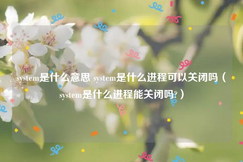 system是什么意思 system是什么进程可以关闭吗（system是什么进程能关闭吗?）