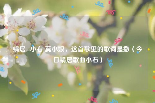 蜗居--小右 莫小娘，这首歌里的歌词是撒（今日蜗居歌曲小右）