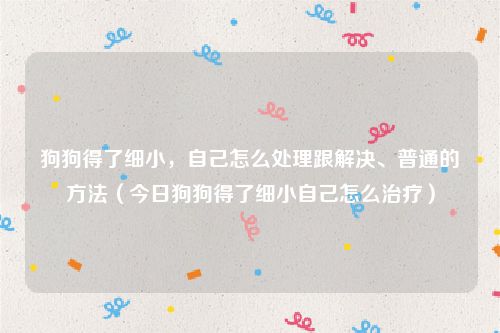 狗狗得了细小，自己怎么处理跟解决、普通的方法（今日狗狗得了细小自己怎么治疗）