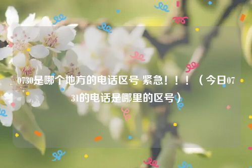 0730是哪个地方的电话区号 紧急！！！（今日0731的电话是哪里的区号）