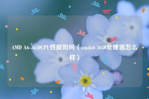 AMD A6-3650CPU性能如何（amda6 3650处理器怎么样）