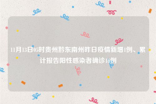 11月13日05时贵州黔东南州昨日疫情新增1例、累计报告阳性感染者确诊16例