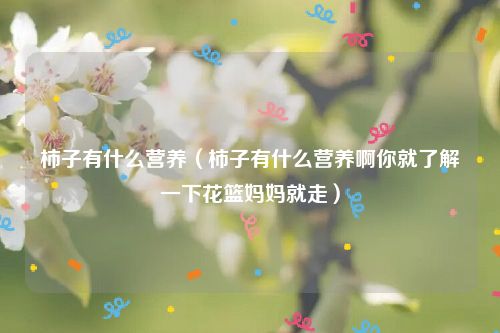 柿子有什么营养(柿子有什么营养啊你就了解一下花篮妈妈就走)