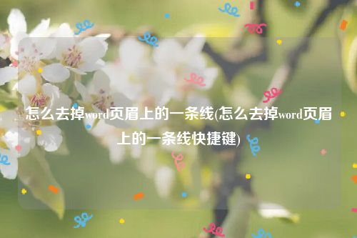 怎么去掉word页眉上的一条线(怎么去掉word页眉上的一条线快捷键)