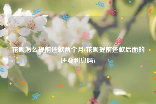 花呗怎么提前还款两个月(花呗提前还款后面的还要利息吗)