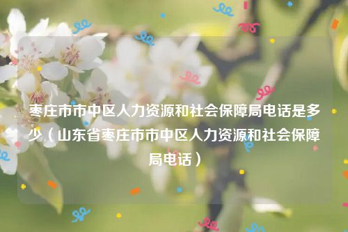 枣庄市市中区人力资源和社会保障局电话是多少（山东省枣庄市市中区人力资源和社会保障局电话）