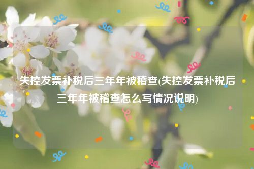 失控发票补税后三年年被稽查(失控发票补税后三年年被稽查怎么写情况说明)
