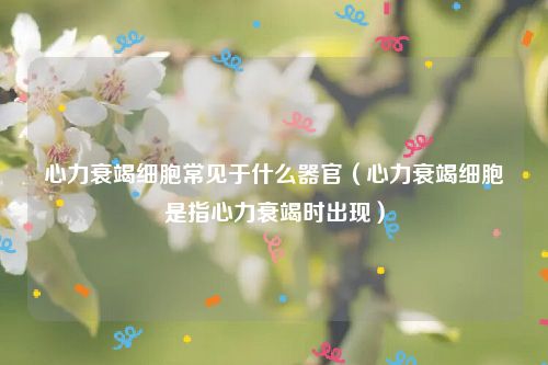 心力衰竭细胞常见于什么器官（心力衰竭细胞是指心力衰竭时出现）