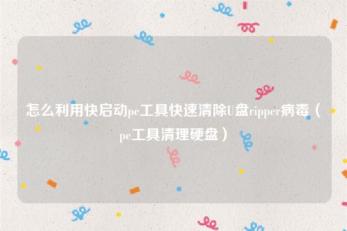 怎么利用快启动pe工具快速清除U盘ripper病毒(pe工具清理硬盘)