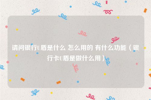 请问银行U盾是什么 怎么用的 有什么功能(银行卡U盾是做什么用)