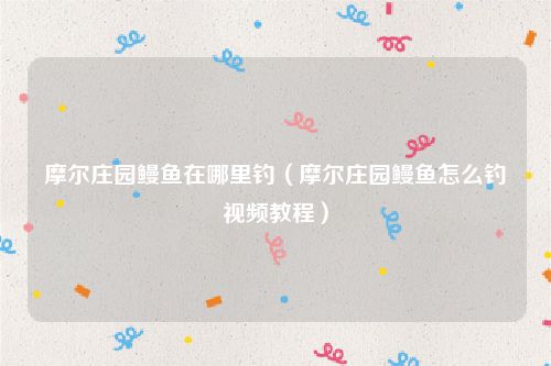 摩尔庄园鳗鱼在哪里钓(摩尔庄园鳗鱼怎么钓视频教程)